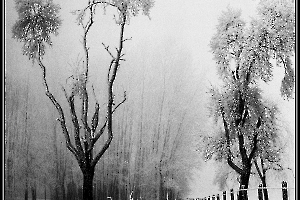 givre-a4_49154094237_o