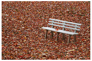 la-feuille-y-dumont_49153207222_o