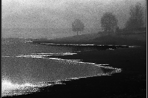 lac-st-sernin_49154138247_o