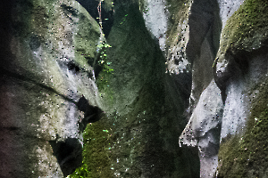 p1180201-2_49153292613_o