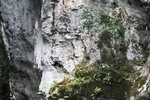 p1180205-3_49153785351_o
