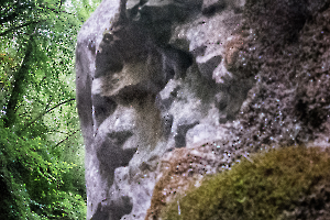 p1180216-4_49153989097_o