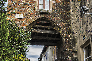 porte-bressane1920_49154086707_o