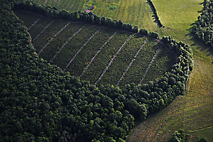 02---oeil-vgtal_51992115799_o