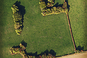 04---le-chien_51992386565_o