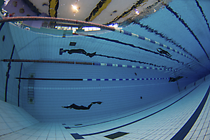 190519-dsc_0914-cyrille-bollard_51992153384_o