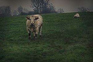 3-zone-surveille--_51991894568_o