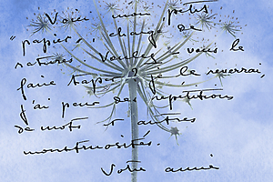 colette_51991893891_o