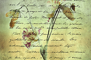 de-beauvoir_51991953233_o