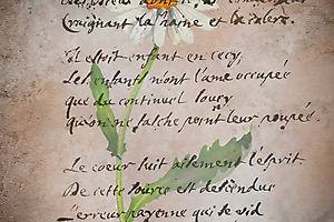 la-fontaine_51992175629_o