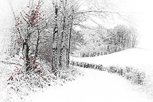 m-beaufils--1-le-silence-blanc_51992461280_o