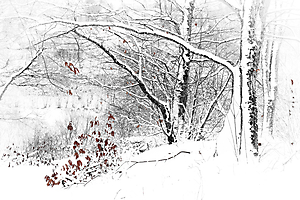 m-beaufils--2-le-silence-blanc_51990910442_o