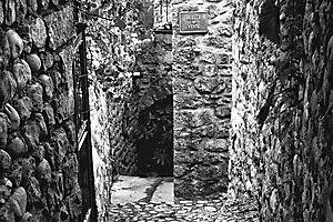 ruelle318_51991911591_o