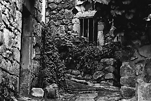ruelle348_51990913982_o
