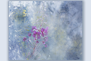 aquarelle_51992495620_o