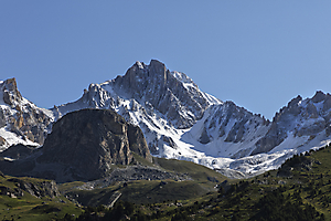 dent-parachee_51992269799_o