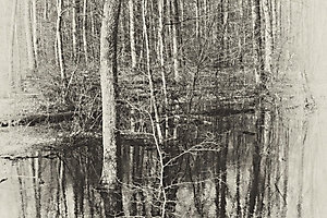 les-pieds-dans-leau_51992008211_o