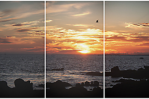 soleil-couchant_52003165202_o