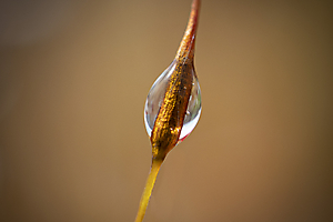 transparence_51992064673_o