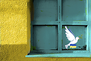 11-fentre-sur-lukraine-yd_53061547298_o