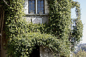 22-img_6159-copie_53060491502_o