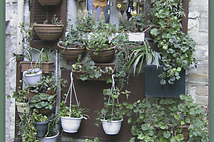 25-lucienne-luciano_53061462295_o