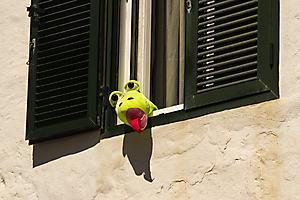 29-curieux-michel_53061461230_o