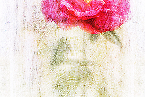 3-m-beaufils---foralies_53059033538_o