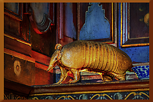 cormatin-003-1920px_53061523408_o