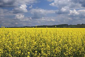 dscf1764-copie_53060070059_o