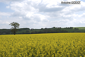 dscf1771_53059301532_o