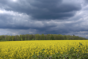 dscf1780_53059301317_o