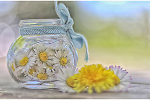 img_1687_53060365523_o