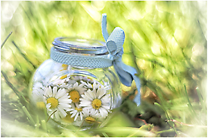 img_21_53060067174_o