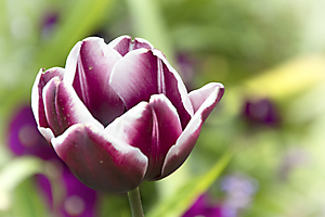 img_6341-copie_53061436580_o