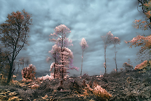 infrarouge-2_53060345188_o