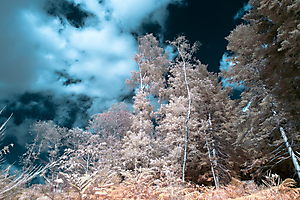 infrarouge-3_53060345338_o