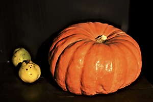 1w5a2859-soupe--confitures_53067563584_o