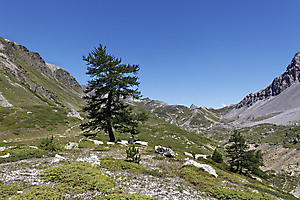 3-dernier-mlze_53066808822_o