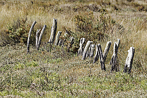 4-pusmen_53067586739_o