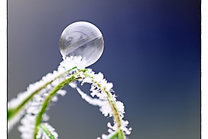 bulles-givres-1_53067762205_o