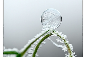 bulles-givres-2_53067373386_o