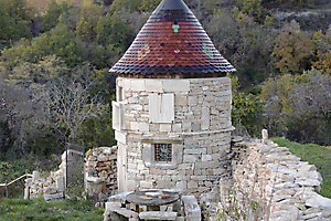 cadole_53067604444_o