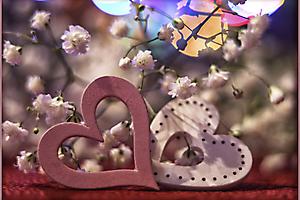 coeur--coeur_53067485316_o