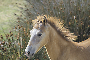 dsc_5498_53066791167_o