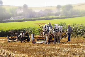 moisson-village-1920_53067432706_o