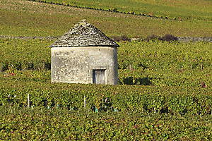 paysage-de-cote-dor_53066802762_o