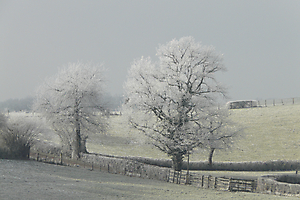 paysage-de-neige-en-saone-et-loire_53067391151_o