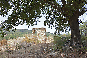 vestige-en-corse-dsc_0995-b_53067553084_o
