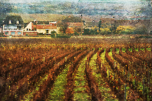 3 M. Beaufils - Sur la route des vignes    